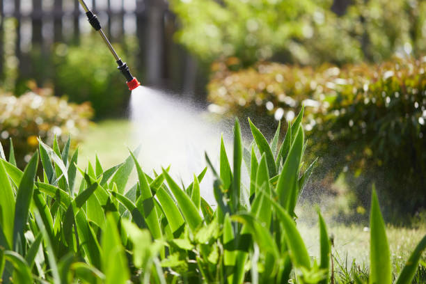 24/7 Emergency Wasp Removal experts in Beloit, OH