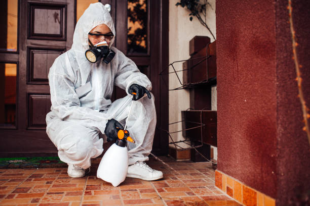Reliable Wasp Removal contractor in Beloit, OH by Show Me Pest Control